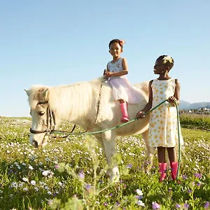 Lighthouse Farm Backpackers , Cidade Do Cabo África do Sul